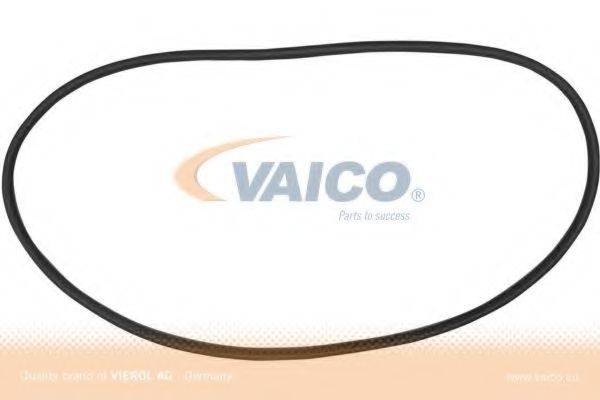 VAICO V100889 Прокладка, вітрове скло