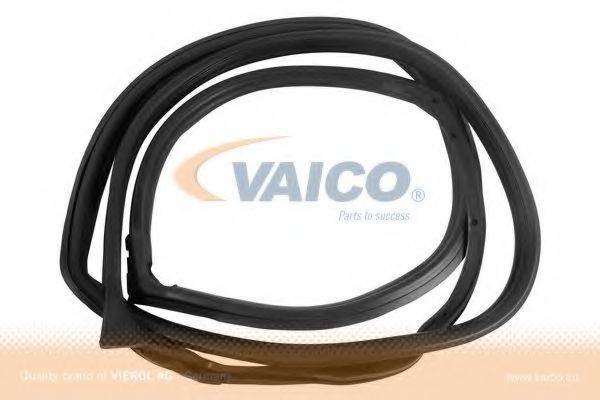 VAICO V301571 Ущільнення дверей