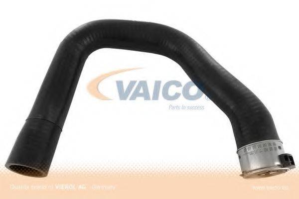 VAICO V401360 Трубка повітря, що нагнітається