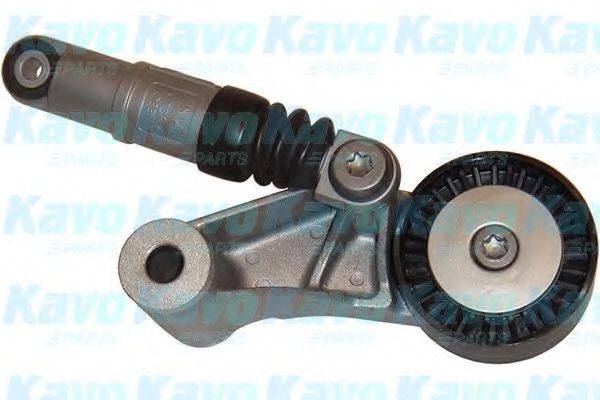 KAVO PARTS DTP3007 Натяжний ролик, полікліновий ремінь