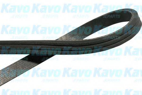 KAVO PARTS DMV9009 Полікліновий ремінь