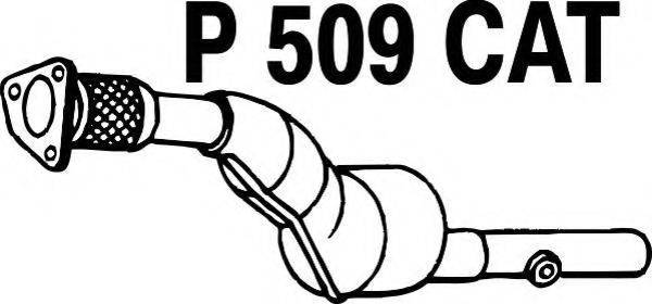 FENNO P509CAT Каталізатор