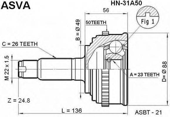 ASVA HN31A50 Шарнірний комплект, приводний вал