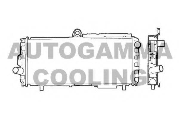 AUTOGAMMA 100002 Радіатор, охолодження двигуна