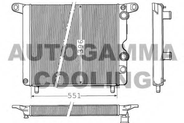 AUTOGAMMA 100253 Радіатор, охолодження двигуна