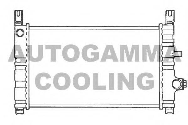 AUTOGAMMA 100355 Радіатор, охолодження двигуна