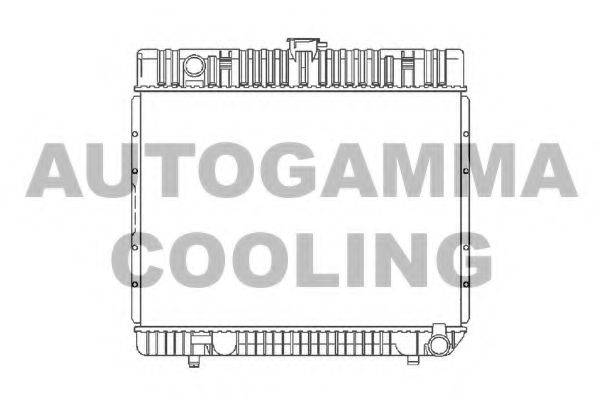 AUTOGAMMA 100532 Радіатор, охолодження двигуна