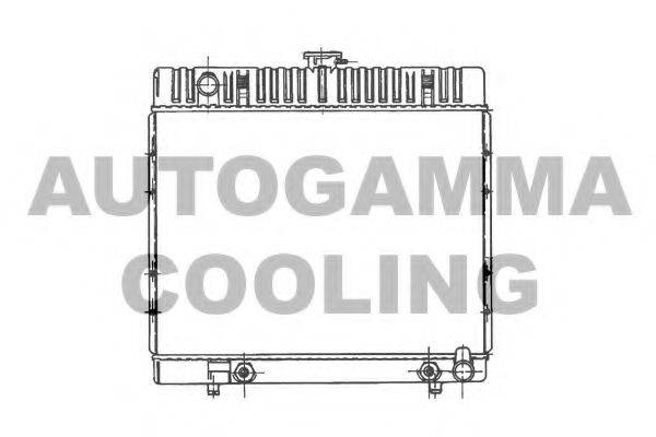 AUTOGAMMA 100533 Радіатор, охолодження двигуна