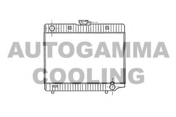 AUTOGAMMA 100534 Радіатор, охолодження двигуна