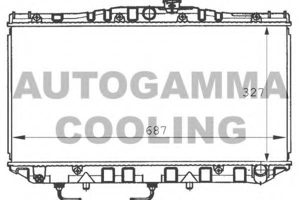 AUTOGAMMA 100989 Радіатор, охолодження двигуна