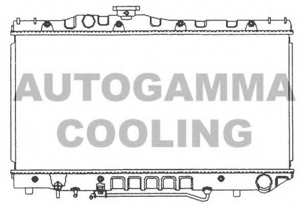 AUTOGAMMA 101006 Радіатор, охолодження двигуна