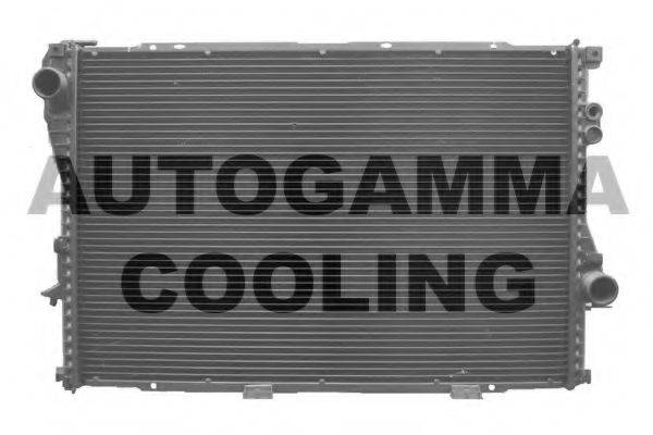 AUTOGAMMA 102042 Радіатор, охолодження двигуна