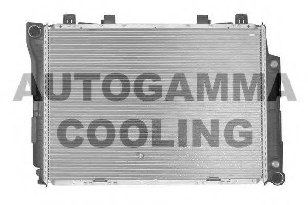 AUTOGAMMA 102165 Радіатор, охолодження двигуна