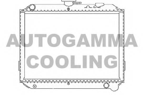 AUTOGAMMA 102216 Радіатор, охолодження двигуна