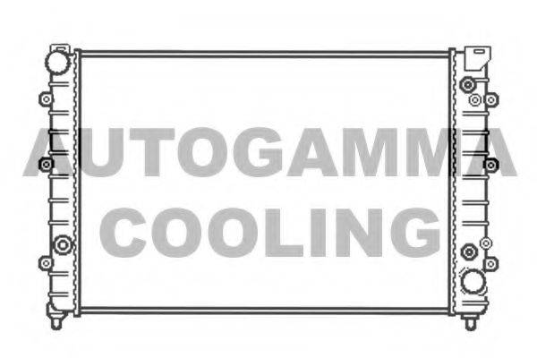 AUTOGAMMA 102893 Радіатор, охолодження двигуна