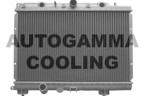 AUTOGAMMA 102943 Радіатор, охолодження двигуна