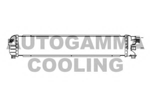 AUTOGAMMA 103456 Радіатор, охолодження двигуна