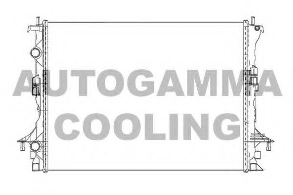 AUTOGAMMA 105306 Радіатор, охолодження двигуна