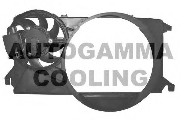 AUTOGAMMA GA200900 Вентилятор, охолодження двигуна