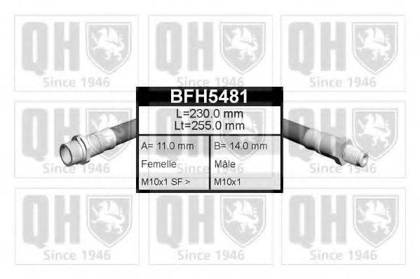 QUINTON HAZELL BFH5481 Гальмівний шланг