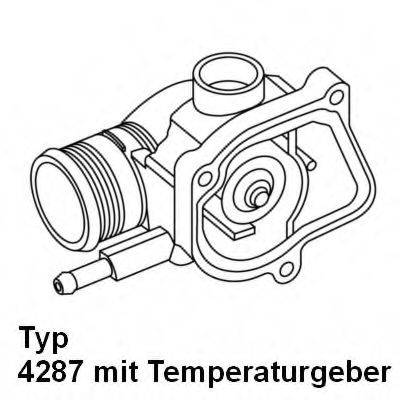 WAHLER 428792D Термостат, охолоджуюча рідина